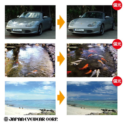 Coleman コールマン レディース 偏光 サングラス 【 CLA01 】