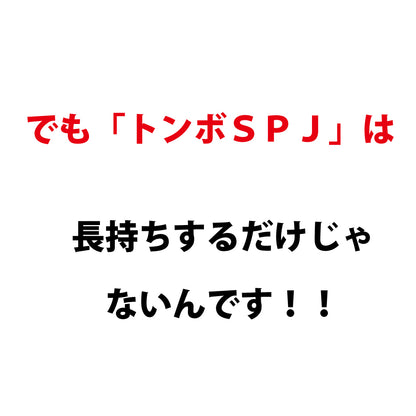 トンボ SPJ 【 アルミ製 60cm 】 グラウンド整備 レーキ 小学生用 （880g）